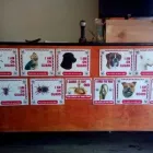 Business 3 image WAGGY TAILS Tropical Fish in Pretoria GP
