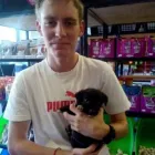 Business 4 image WAGGY TAILS Tropical Fish in Pretoria GP