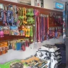 Business 7 image WAGGY TAILS Tropical Fish in Pretoria GP