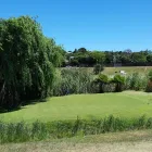 Business 2 image WAGNER'S GOLF ACADEMY Restaurants - Bistros And Bars in Cape Town WC