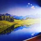 Business 5 image WALLPRINT Wallpapers And Wall Coverings in Cape Town WC