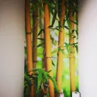 Business 7 image WALLPRINT Wallpapers And Wall Coverings in Cape Town WC