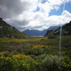 Business 1 image WARYLA SHUTTLE SERVICES Taxis in Simons Town WC