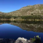 Business 5 image WARYLA SHUTTLE SERVICES Taxis in Simons Town WC