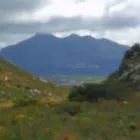 Business 7 image WARYLA SHUTTLE SERVICES Taxis in Simons Town WC