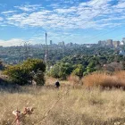 Business 2 image WATERPROOFING JOHANNESBURG Roofing in Johannesburg GP