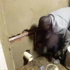 Maatskappy 81 beeld WIZARD ELECTRICAL SERVICES - NO CALL OUT FEES ALL AREAS Pretoria East Electricians 0716260952 in Pretoria GP