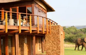 Business 1 image ASKARI GAME LODGE Accommodation Establishments in Magaliesburg GP