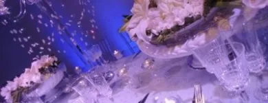 Maatskappy 3 beeld ANGELIC WONDERS Weddings in Port Elizabeth EC