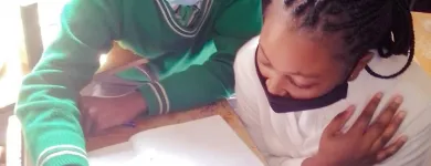 Maatskappy 3 beeld APEX EXCELLENCE TUTORS weekend school in Johannesburg GP