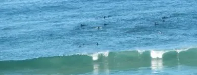 Maatskappy 10 beeld AT WHALE-PHIN GUEST HOUSE Guest House in Mossel Bay WC