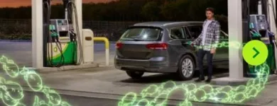 Business 4 image B P WYNBERG Wildbean in Cape Town WC