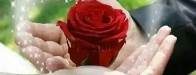 Business 8 image BACK TO OUR ROOTS DR FARUKU HERBALIST HEALER & FOTUNE TELLER !! Wealth Spells Online in Germiston GP