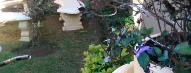 Business 1 image BT HOME STUDIOS Landscaping And Design in Johannesburg GP