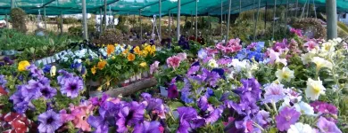 Business 2 image BT HOME STUDIOS Landscaping And Design in Johannesburg GP