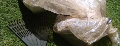 Business 4 image BT HOME STUDIOS Landscaping And Design in Johannesburg GP