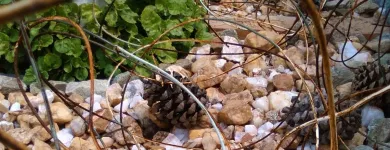 Business 7 image BT HOME STUDIOS Landscaping And Design in Johannesburg GP