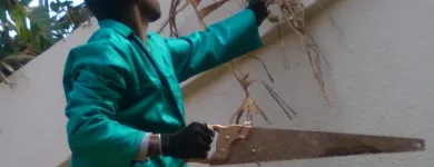 Business 9 image BT HOME STUDIOS Landscaping And Design in Johannesburg GP