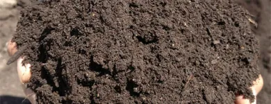 Business 8 image BUILDERS365 Tar Sufacing West Rand in Cape Town WC