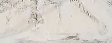 Business 17 image BUILDERS365 Tar Sufacing West Rand in Cape Town WC