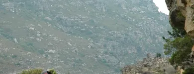 Maatskappy 1 beeld CAPE SIDECAR ADVENTURES Tours in Cape Town WC