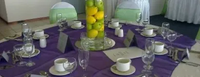 Business 12 image CHERRI HIRE Wedding Hire in Cape Town WC