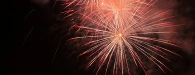 Business 1 image CHINA FIREWORKS Fireworks in Johannesburg GP