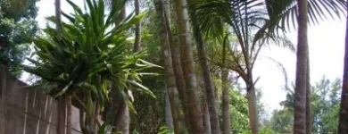 Maatskappy 1 beeld CHRISTIE'S INN Tropical Gardens in Tzaneen LP