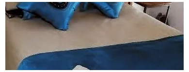 Maatskappy 7 beeld CHRISTIE'S INN Tropical Gardens in Tzaneen LP