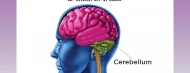 Maatskappy 1 beeld CORE BRAIN DEVELOPMENT Educational Aids in Port Elizabeth EC