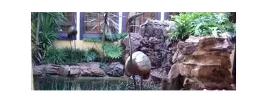 Business 19 image DESIGNER GARDENS LANDSCAPING Wooden Deck in Pretoria GP