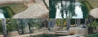 Business 21 image DESIGNER GARDENS LANDSCAPING Wooden Deck in Pretoria GP