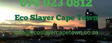 Maatskappy 6 beeld ECO SLAYER CAPE TOWN wasp control in Cape Town WC