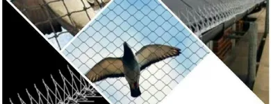 Maatskappy 7 beeld ECO SLAYER CAPE TOWN wasp control in Cape Town WC