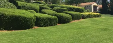 Business 2 image HUXHAM DENISE Residential in Pretoria GP