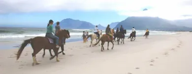 Maatskappy 1 beeld NOORDHOEK BEACH RIDES Riding Trails in Cape Town WC