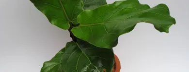 Business 7 image NUNO Interior Designers in Cape Town WC