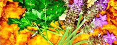 Business 2 image RANDBURG CONFERENCE CENTRE Venue for Workshops in Randburg GP