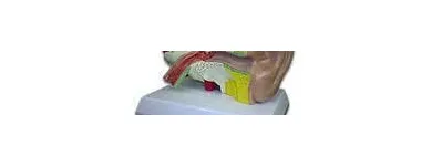 Maatskappy 7 beeld REBOCHEM Ph Meters in Mokopane LP