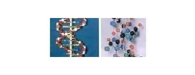 Maatskappy 38 beeld REBOCHEM Ph Meters in Mokopane LP