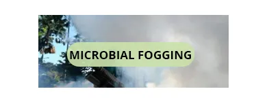 Business 6 image SOLID HYGIENE SOLUTIONS Pest Control in Cape Town WC