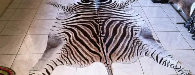 Business 3 image SOWETOG AMASKIN Zebra Attoman in Soweto GP