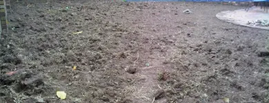 Maatskappy 2 beeld T-SCAPES LANDSCAPING SERVICES Weeding in Durban KZN