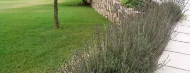 Maatskappy 7 beeld T-SCAPES LANDSCAPING SERVICES Weeding in Durban KZN