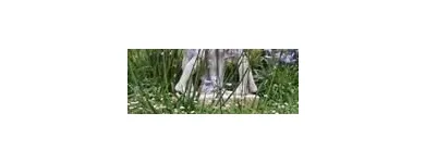 Maatskappy 9 beeld T-SCAPES LANDSCAPING SERVICES Weeding in Durban KZN