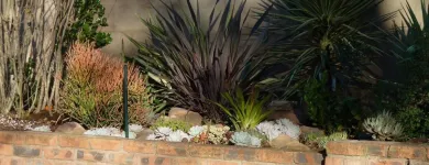 Maatskappy 12 beeld T-SCAPES LANDSCAPING SERVICES Weeding in Durban KZN