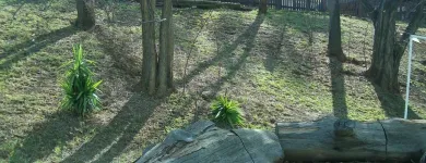 Business 1 image ZOO LAKE SPORTS CLUB Venue in Johannesburg GP