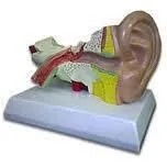 Maatskappy 7 beeld REBOCHEM