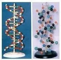 Maatskappy 38 beeld REBOCHEM