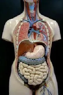 Maatskappy 8 beeld REBOCHEM